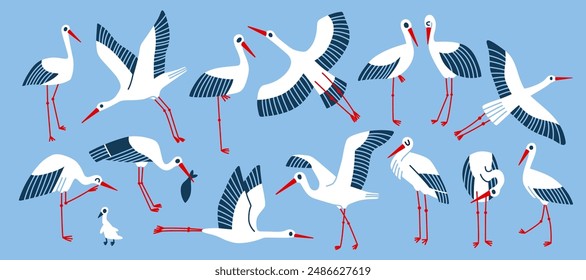 Set of vector birds. Illustration with storks