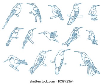 Set of vector birds - kolibri pen outlines