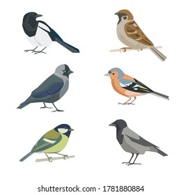 Set of vector birds. Magpie, crow, sparrow, jackdaw, finch, titmouse. Isolated on white background.