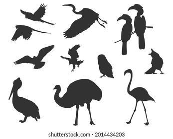 231 Emu pose Images, Stock Photos & Vectors | Shutterstock