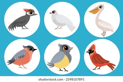 Set of vector birds. Woodpecker, cuckoo, pelican, cardinal and tit. Animals collection.