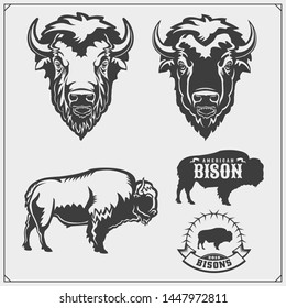 Set of vector Bison silhouettes and illustration. Print design for t-shirt. Emblem design template.