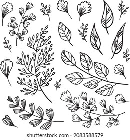 Set of vector black drawing of twigs and leaves in freehand sketch style isolated on white background. Digital illustration in the style of hand drawing with ink, charcoal, pencil.