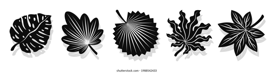 Set of vector black leaves silhouettes and shadow isolated on white background. Abstract cartoon leaf or foliage flat shape icon style. Design for logo, stencil or pattern artwork.
