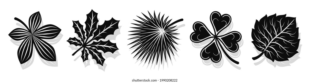 Set of vector black leaves silhouettes and shadow isolated on white background. Abstract cartoon leaf or foliage flat shape icon style. Design for logo, stencil or pattern artwork.