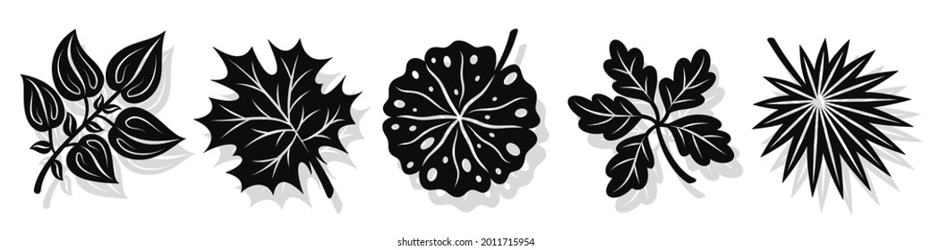 Set of vector black leaves silhouettes and shadow isolated on white background. Abstract cartoon leaf or foliage flat shape icon style. Design for logo, stencil or pattern artwork.