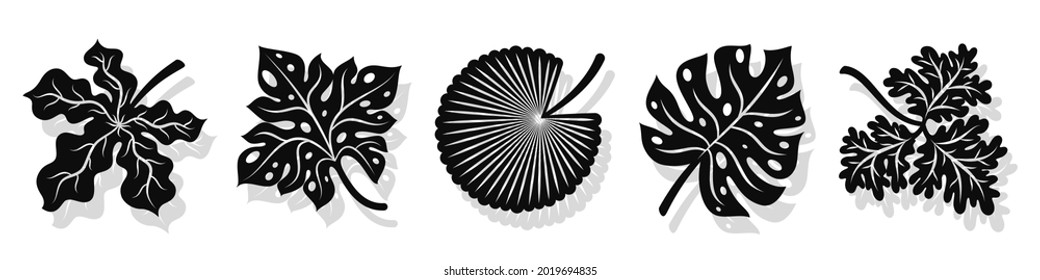 Set of vector black leaves silhouettes and shadow isolated on white background. Abstract cartoon leaf or foliage flat shape icon style. Design for logo, stencil or pattern artwork.