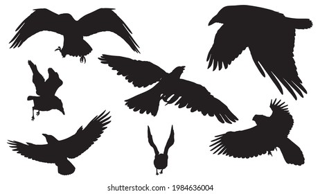 set of vector black silhouette of crow on the white background, silhouette of crows