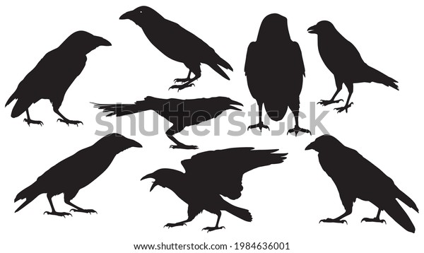 Set Vector Black Silhouette Crow On Stock Vector (Royalty Free ...