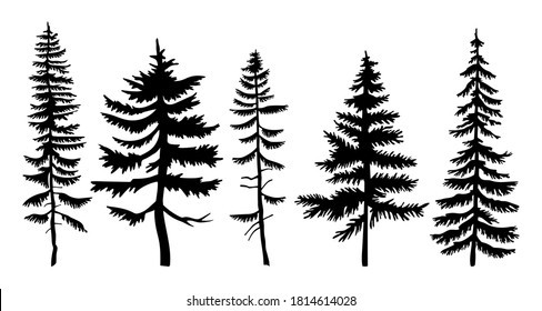 Set of vector black silhouettes firs and pines. Flat illustrations of forest trees. Winter wood. Taiga high powerful spruce. Forever green tree. Plants and trees. Flat vector isolated on white