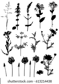 Set of vector black silhouettes flowers and plants on a white background