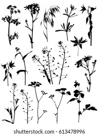 Set of vector black silhouettes flowers and plants on a white background