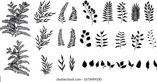 Set of vector black silhouettes of hand drawn branches and leaves.