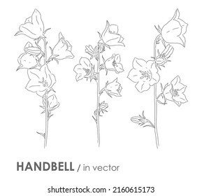 SET OF VECTOR BLOOMING HANDBELLS ISOLATED ON A WHITE BACKGROUND