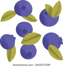 Set of vector blueberries isolated on white background. Vector illustration of fresh organic fruit.