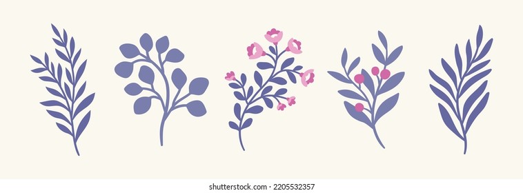 Conjunto de elementos digitales botánicos vectoriales. Ilustración dibujada a mano con hojas y plantas.  Ornamentos florales para tarjeta, diseño de logotipo, moda de impresión.