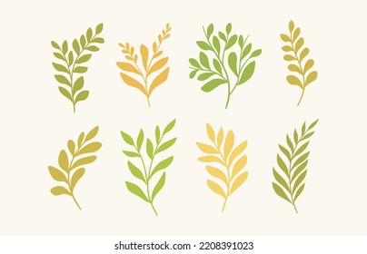 Set of vector botanical digital elements. Hand drawn illustration with leaves and plants.  Floral ornaments for card, logo design, print fashion.