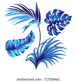 /image-vector/decorative-blue