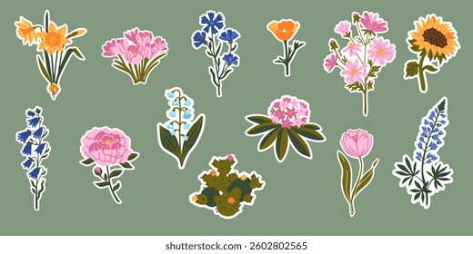 Set of vector botanical illustration with garden and wild flowers
