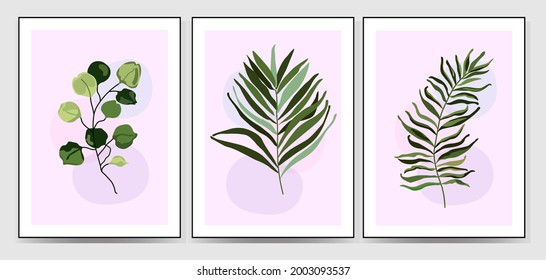 A set of vector botanical illustrations with an abstract composition with tropical palm leaves, for an art gallery. a modern poster on the wall. minimal interior design