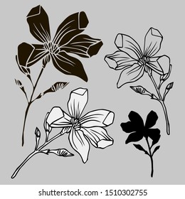 Set with vector botanical illustrations. Design in black and white style. Elements isolated on background. Can be used for printing on paper, stickers, badges, jewelry, postcards, textiles, tattoos.