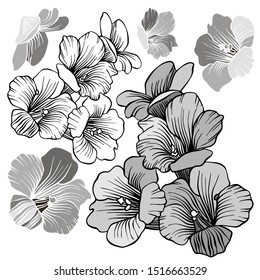 Set with vector botanical illustrations. Design in black and white style. Elements isolated on background. Can be used for printing on paper, stickers, badges, jewelry, postcards, textiles, tattoos.