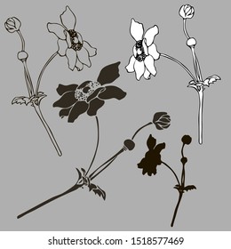 Set with vector botanical illustrations. Design in black and white style. Elements isolated on background. Can be used for printing on paper, stickers, badges, jewelry, postcards, textiles, tattoos.