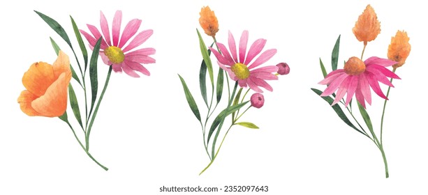 Conjunto de ramo vectorial con adormidera Escherzia, equinácea, flores cosmos con flores secas. ilustración de acuarela aislada en fondo blanco para diseñar invitaciones, postales y otras impresiones