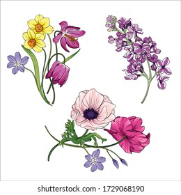 Conjunto de ramo vectorial de flores primaverales.Flores florecientes. Ilustración de vectores sobre fondo blanco