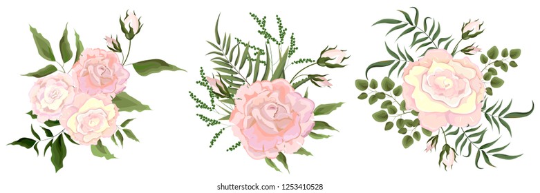Set of vector bouquets of beige rose. Flowers on white background. All elements are isolated. Elements for wedding design.
