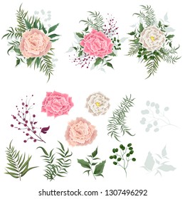 Set of vector bouquets of beige rose. Flowers on white background. All elements are isolated. Elements for wedding design. All elements are isolated on white background.