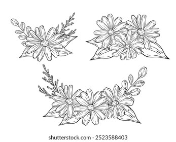 Conjunto de ramos de Vector de manzanilla con hojas. Gráficos dibujados a mano, dibujo lineal. Composiciones de flores de manzanilla con hojas y verdor. Ilustración en blanco y negro para diseño y decoración