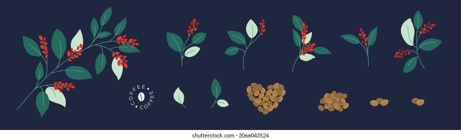 Satz von Vektorzweigen von Kaffeebaum oder Pflanze mit Blättern und reifen roten Beeren. Röstete Kaffeebohnen. Einzige Illustration für Logo, Poster, Menü. Spezialcafé, Design-Elemente für Verpackungen, Druck