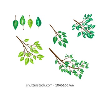 set of vector branches and leaves