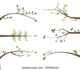 A set of vector branches with leaves