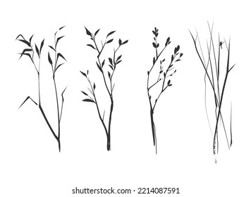 A set of vector branches with leaves drawn in ink. A bird on a branch. Vector set of silhouettes of branches