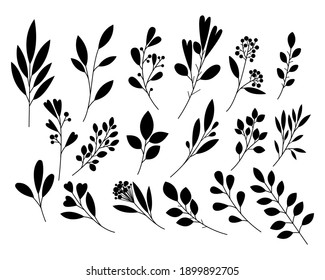 Set of vector branches with leaves on a white background. Floral elements (leaves, branches). Botanical illustrations. Perfect for wedding invitations, greeting cards, quotes, blogs, frames