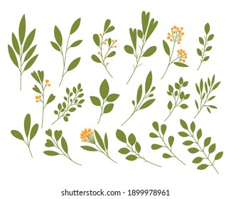Set of vector branches with leaves on a white background. Floral elements (leaves, branches, hearts). Botanical illustrations. Green twigs with hearts and berries. Spring set of leaves.