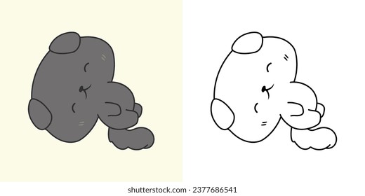 Set Vector British Shorthair Cat Multicolored and Black and White. Kawaii Clip Art Baby Kitty. Cute Vector Illustration of a Kawaii Baby Pet for Stickers, Baby Shower, Coloring Pages. 