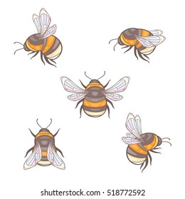 Set of vector bumblebees, elements isolated on white background