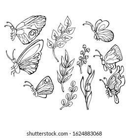 set of vector butterflies, doodle