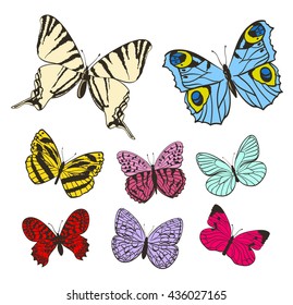 set of vector butterflies. vector illustration