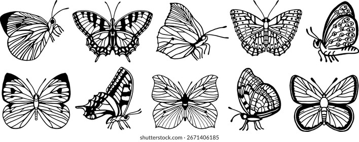 Conjunto de mariposas de Vector en estilo de arte de línea. Elemento de diseño de verano.