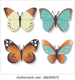 Set of Vector butterfly. 4 bright vector butterflies with shadows on a white background.
