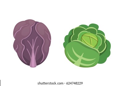 Set vector Cabbage vector illustration.