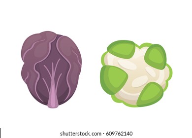 Set vector Cabbage and Lettuce. Vegetable green broccoli, kohlrabi, other different cabbages.