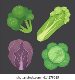 Set vector Cabbage and Lettuce. Vegetable green broccoli, kohlrabi, other different cabbages.