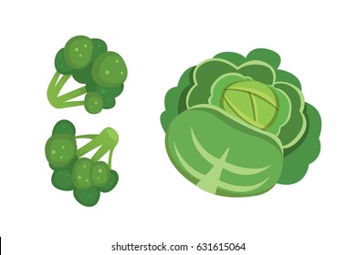 Set vector Cabbage and Lettuce. Vegetable green kohlrabi, other different cabbages.