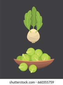 Set vector Cabbage and Lettuce. Vegetable green broccoli, kohlrabi, other different cabbages.