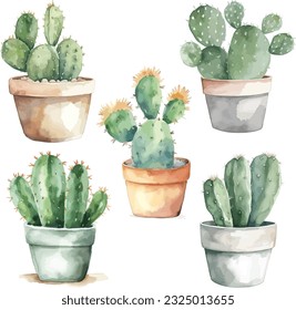 conjunto de ilustraciones vegetales cactus vectoriales en forma de acuarela dibujadas a mano, fondo blanco aislado, flor clipart, para ramos, coronas, arreglos, invitaciones de boda,